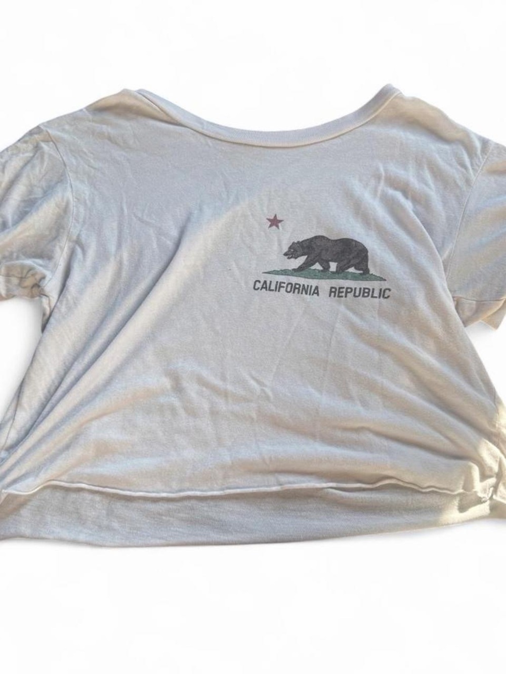 Brandy Melville vintage California Republic crop tee